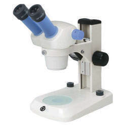 Werka 520-0217 Ekonomik Binoküler Mikroskop
