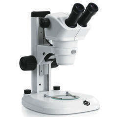 Werka 520-0224 Binoküler Mikroskop
