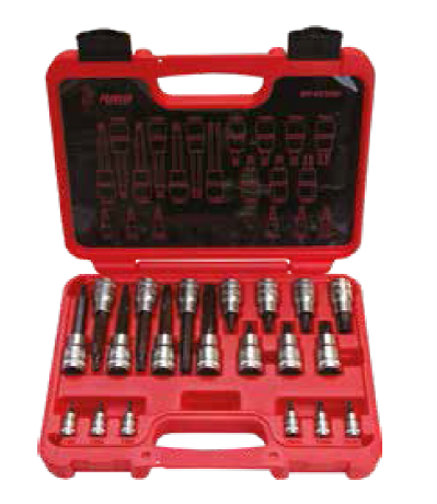 Rico%20007-RC3029%201/4”%20-%201/2”%2020PC%20Delikli%20Torx%20Lokma%20Seti