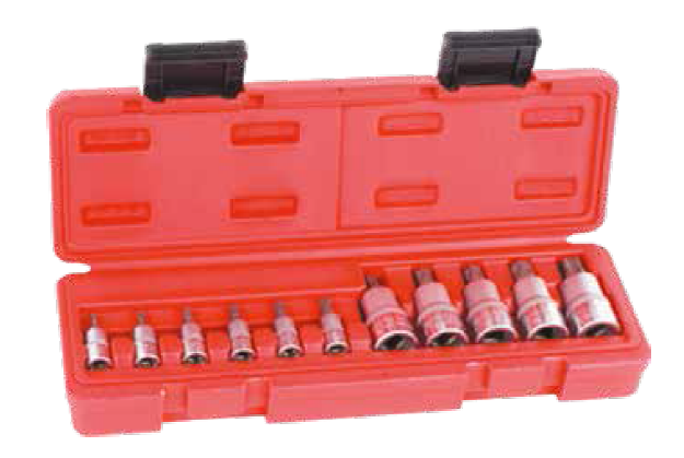 Rico%20RC9801%2011PC%201/4”%201/2”%20Torx%20L.%20Seti%20(5%20Köşe%20Delikli)