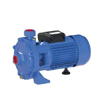 Sumak SMK220P 1.6Kw 1.1/4’’ Paslanmaz Çarklı Santrifüj Pompa Monofaze